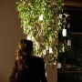 Wish Tree von Yoko Ono Sprachspiele ADK, poesie festival berlin, Akademie der Künste, Sprachspiele, Berlin, Ausstellung Berlin Pictures