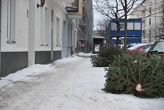 Weihnachtsbäume auf dem Bürgersteig im Berliner Winter Winter, Schnee Berlin Pictures