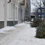 Weihnachtsbäume auf dem Bürgersteig im Berliner Winter winterliches Berlin Schnee, Winter Berlin Pictures