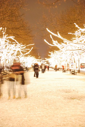 Berlin Mitte Unter den Linden an einem Winterabend Schnee, Berlin Mitte, Unter den Linden, Winter, Nacht Berlin Pictures