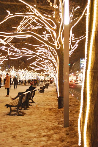 Berlin Mitte Unter den Linden an einem Winterabend Schnee, Berlin Mitte, Nacht, Winter, Unter den Linden Berlin Pictures